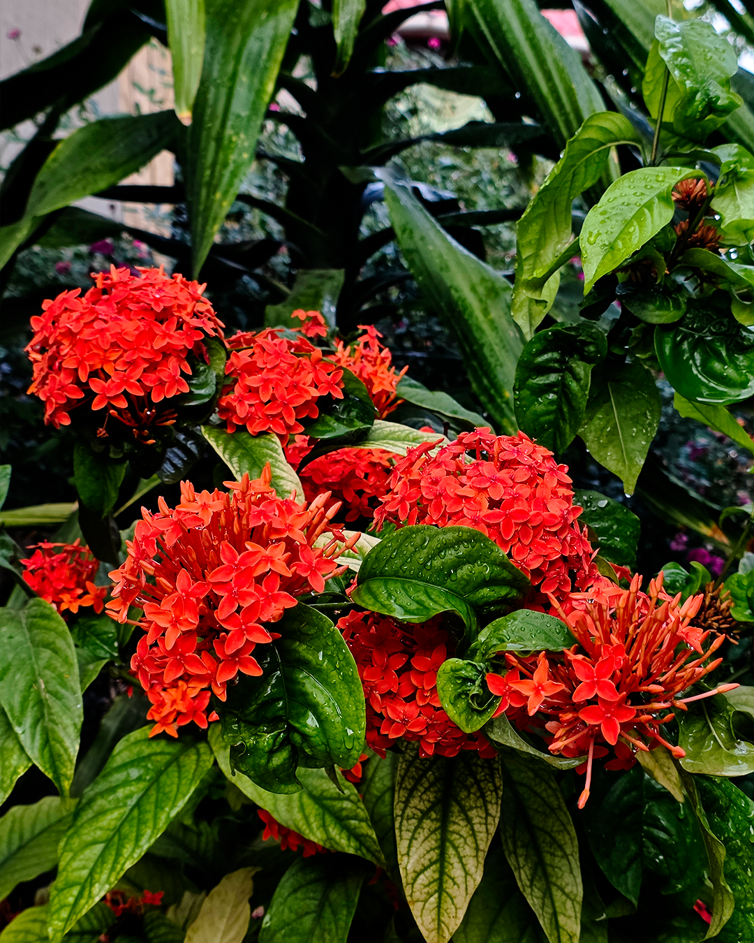 Kigongoni Gazella Hotel